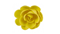 Розы сложные желтые большие d=5см